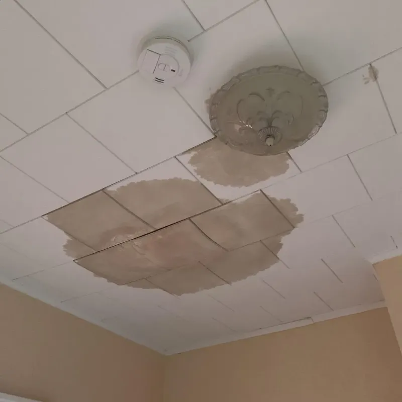 Ceiling Water Damage Repair in Browns Lake, WI