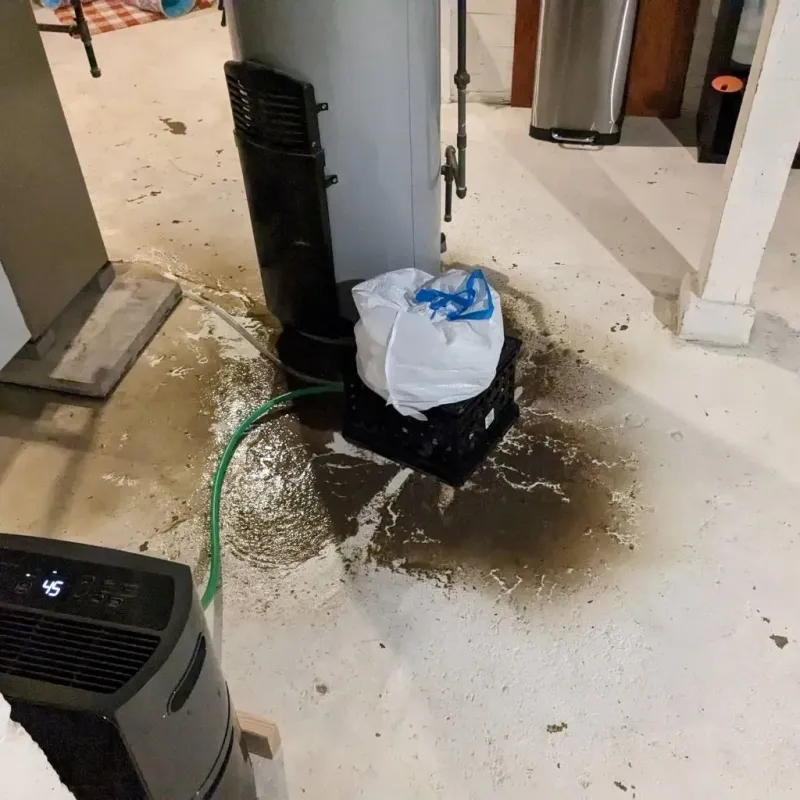 Sewage Backup Cleanup Service in Browns Lake, WI